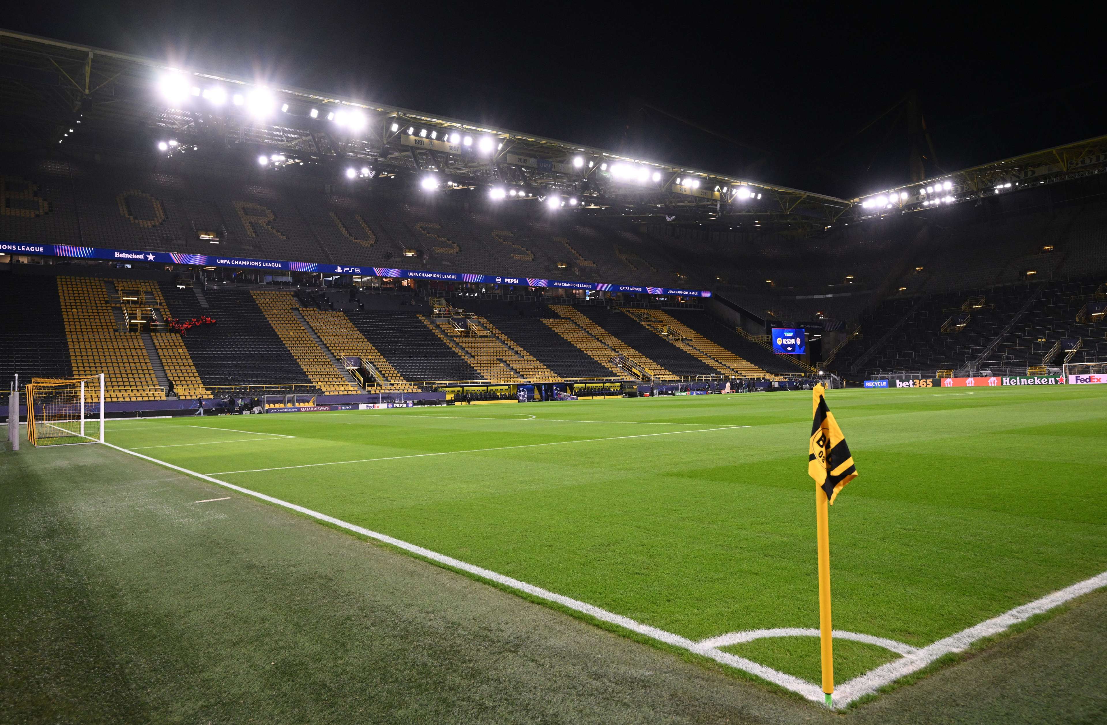 其发展的野 其发展的野