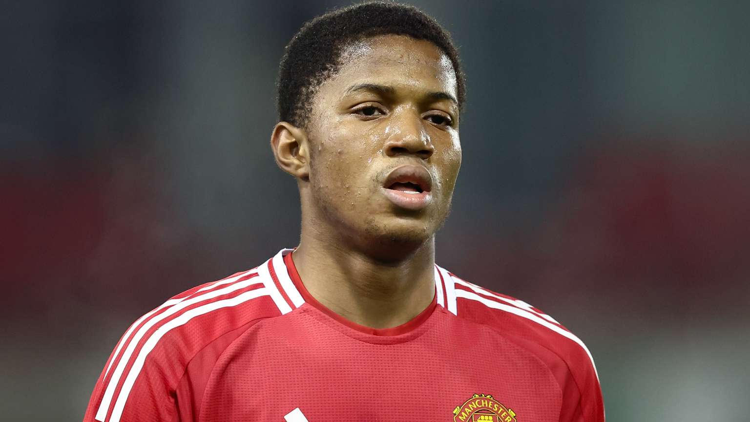 密国际中国 密国际中国